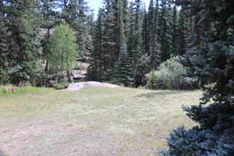 Enlarge photo 80
