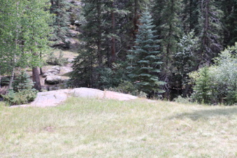 Enlarge photo 81