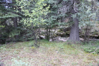 Enlarge photo 86