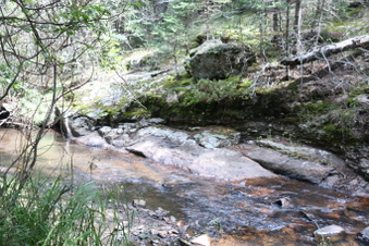 Enlarge photo 88