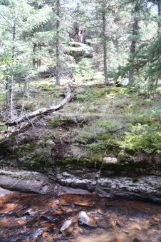 Enlarge photo 89