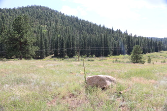 Enlarge photo 107