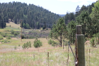 Enlarge photo 109