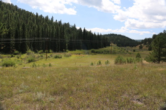 Enlarge photo 112