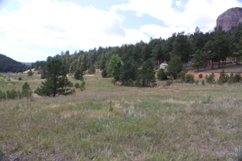 Enlarge photo 114
