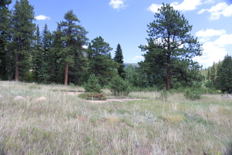 Enlarge photo 117