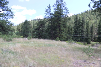 Enlarge photo 118