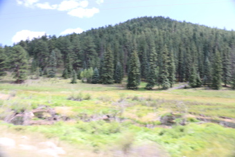 Enlarge photo 119