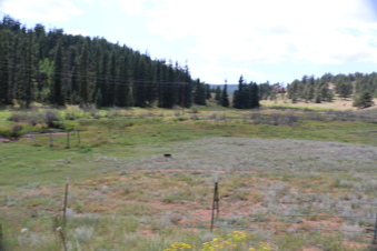 Enlarge photo 123