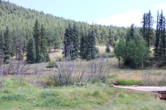 Enlarge photo 130