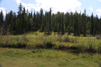 Enlarge photo 131