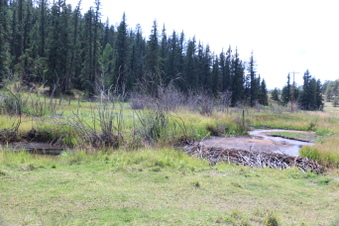 Enlarge photo 132