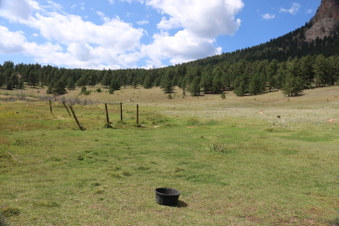 Enlarge photo 133