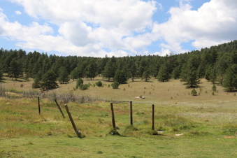 Enlarge photo 136
