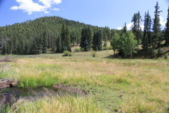Enlarge photo 139