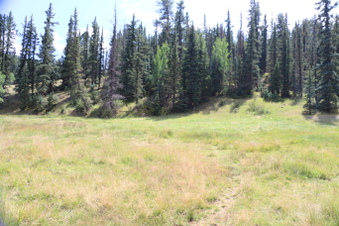 Enlarge photo 140