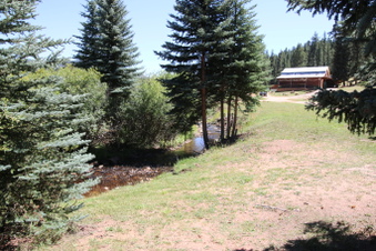 Enlarge photo 163