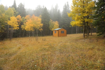 Enlarge photo 151