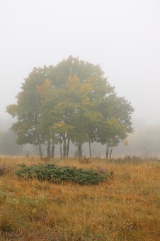 Enlarge photo 152