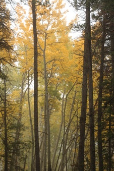 Enlarge photo 166