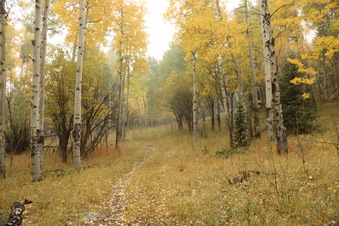 Enlarge photo 158