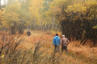 Enlarge photo 160