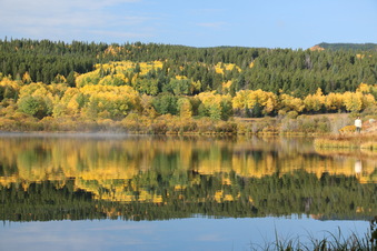 Enlarge photo 144