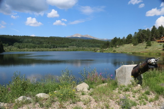 Enlarge photo 20