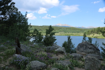 Enlarge photo 26