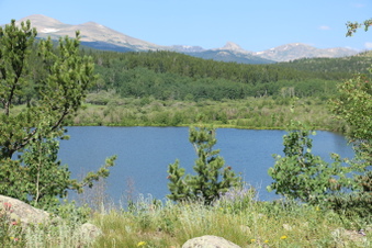 Enlarge photo 31