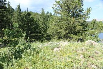 Enlarge photo 32