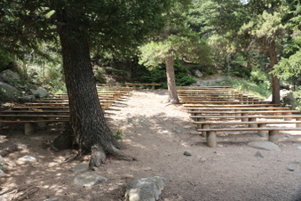 Enlarge photo 39