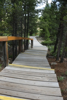 Enlarge photo 43