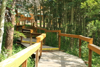 Enlarge photo 47