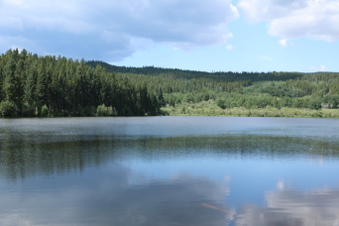 Enlarge photo 51