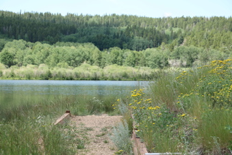 Enlarge photo 61