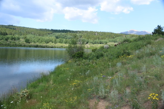 Enlarge photo 62