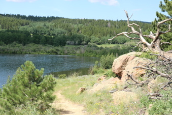 Enlarge photo 63