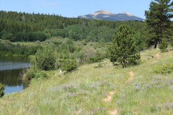 Enlarge photo 65