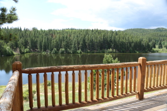 Enlarge photo 84