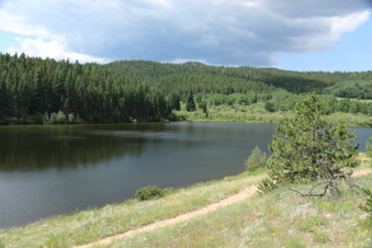 Enlarge photo 90