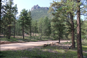 Enlarge photo 53