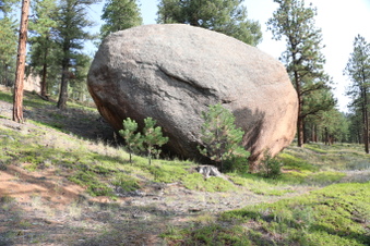 Enlarge photo 58