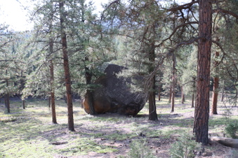 Enlarge photo 72