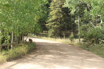 Enlarge photo 79