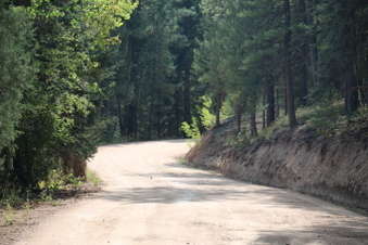Enlarge photo 82