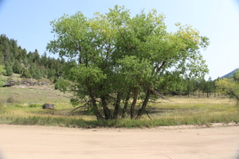 Enlarge photo 89