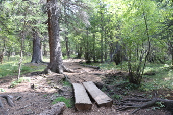 Enlarge photo 139