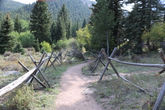 Enlarge photo 142