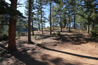Enlarge photo 17